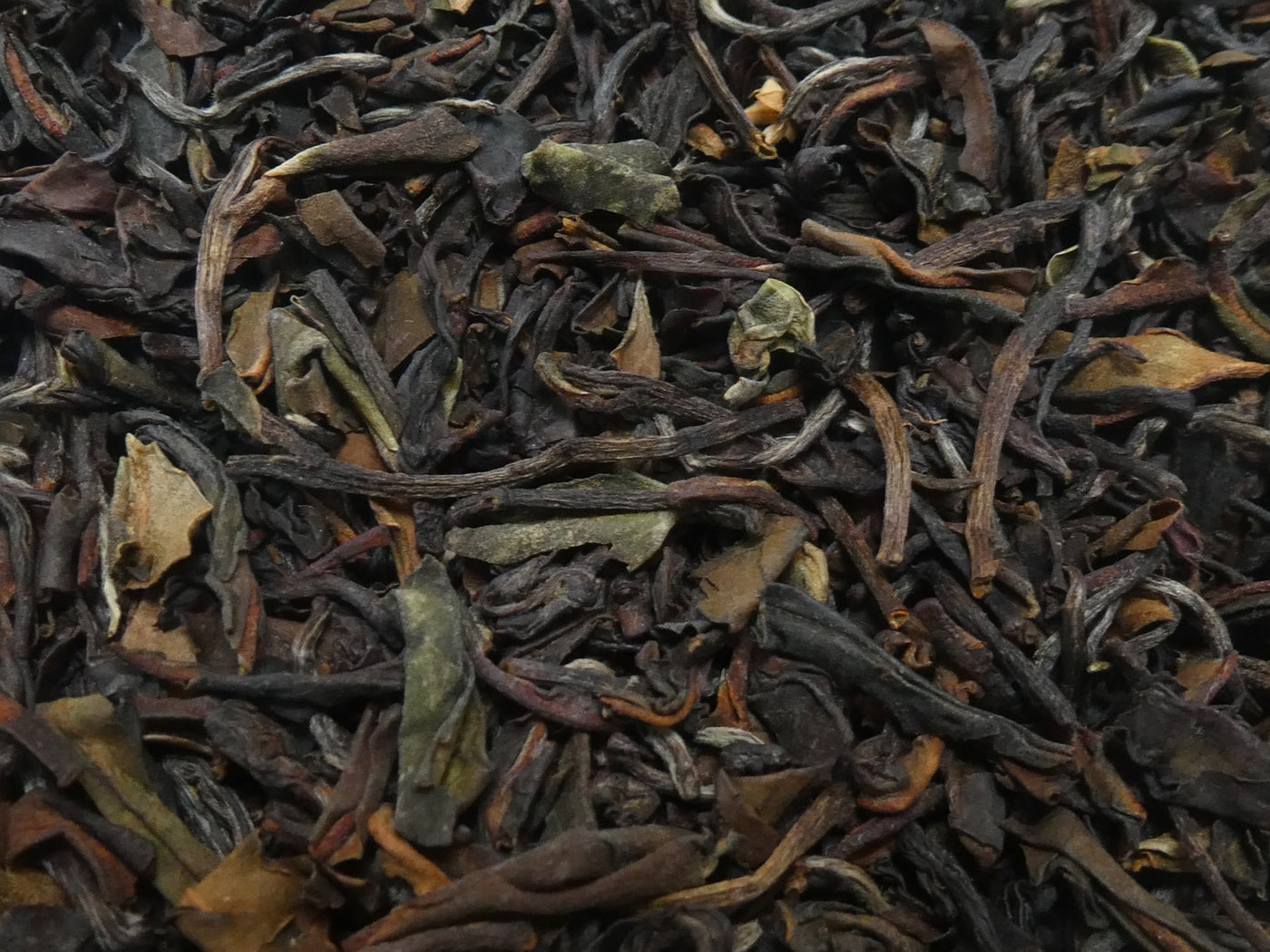 Kangra Summer Queen – Thé Noir d'Himalaya