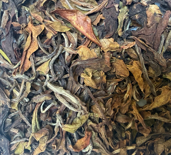 Grand Oolong Okayti – Thé Oolong de Darjeeling