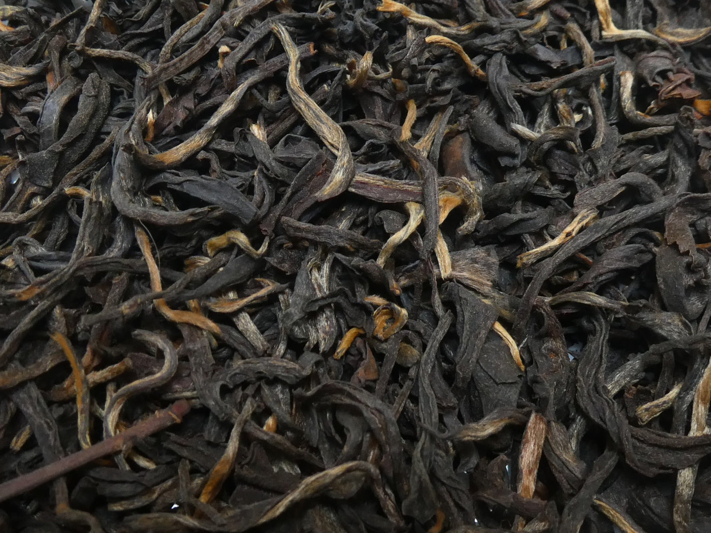 Golden Tippy d'Arunachal – Thé Noir Rare d'Inde