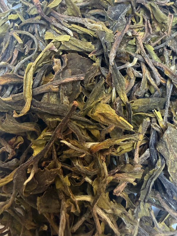 Buddha Green Okayti – Thé Vert de Darjeeling