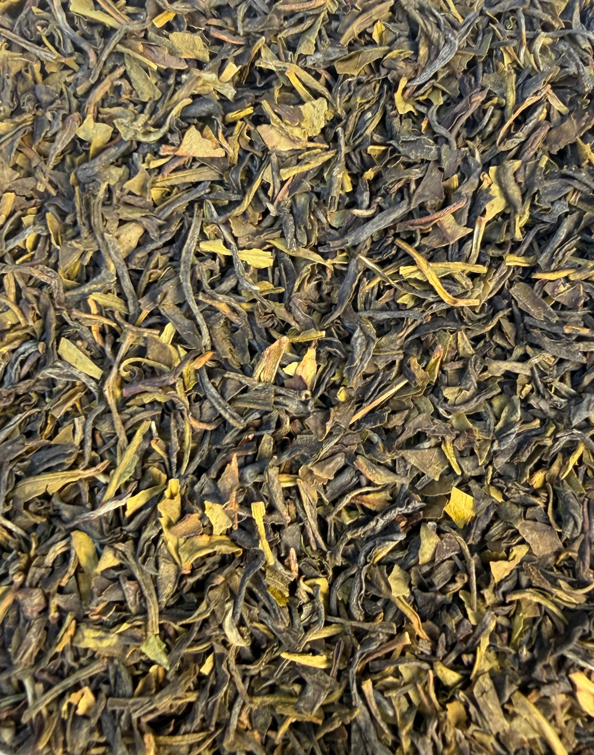 Kangra Green Tea GFTGFOP1 – Thé Vert de l'Himalaya