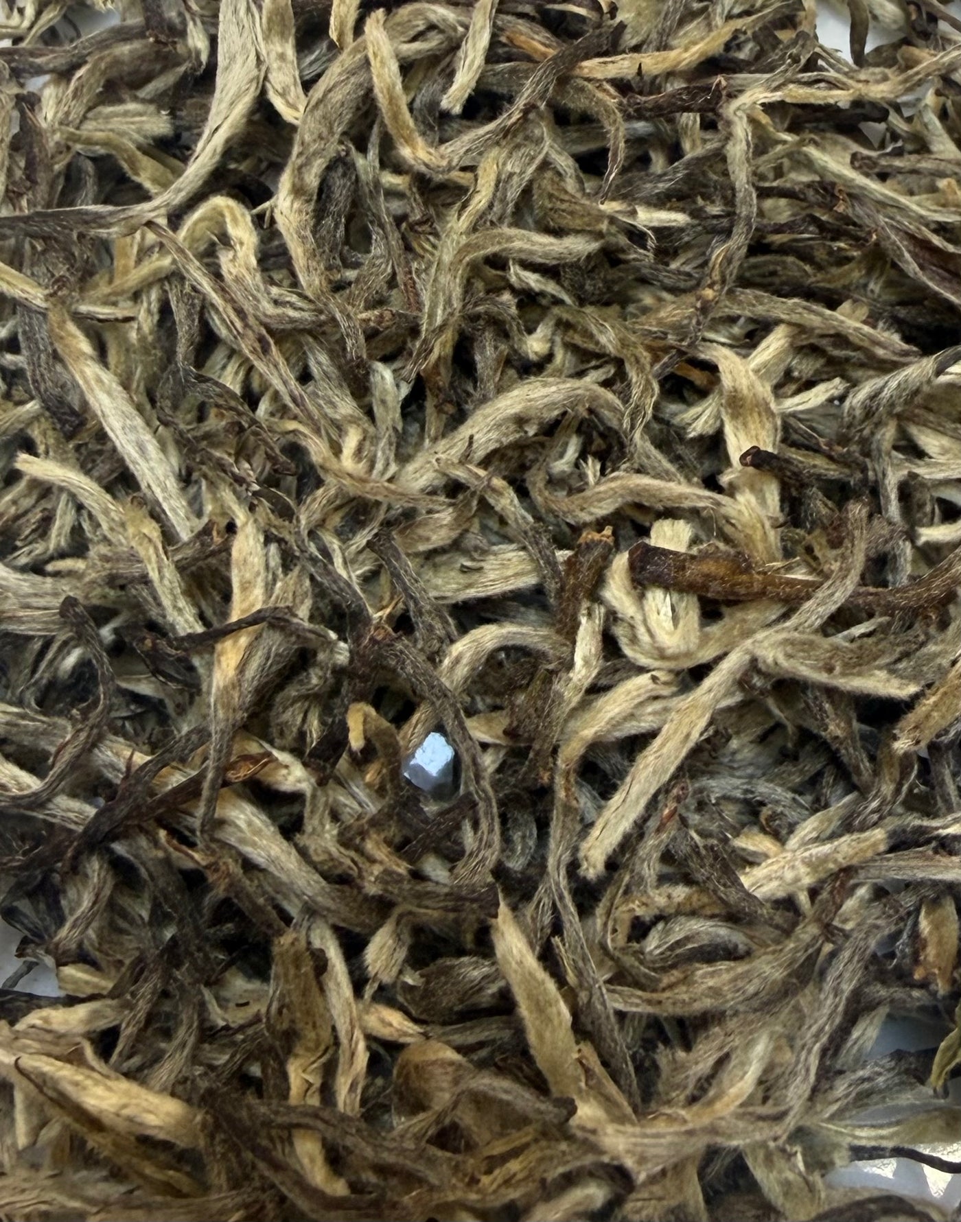Silver Needle Okayti – Thé Blanc de Darjeeling
